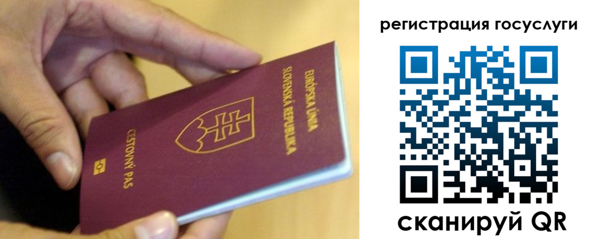 прописка в квартире в Озёрах